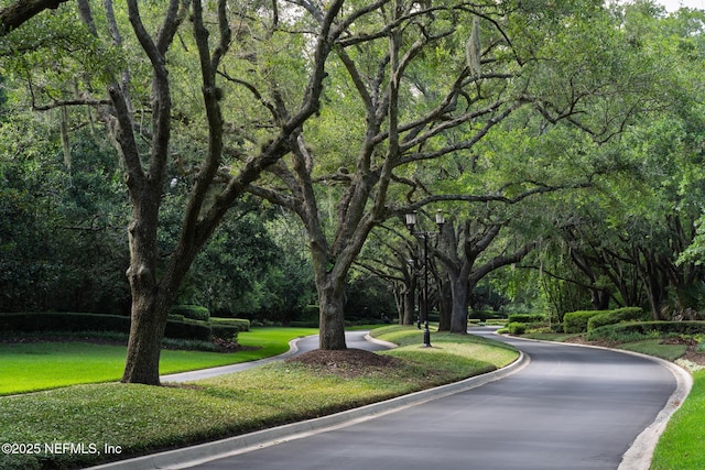 13464 Ellsworth Ln, Jacksonville, FL 32225 - surrounding community featuring a yard