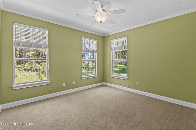 1065 Solano Cove Rd, Saint Augustine, FL 32092 - photo 39