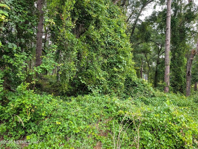 00 SE 1st Ave, Keystone Heights, FL 32656 - photo 2