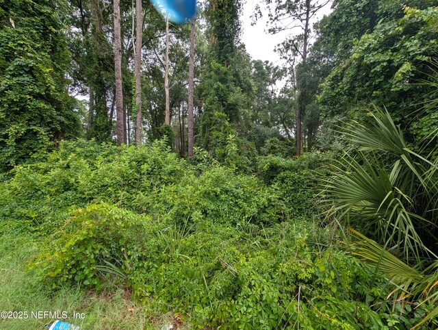 00 SE 1st Ave, Keystone Heights, FL 32656 - photo 5