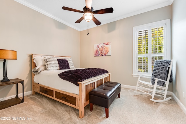 317 Appaloosa Ave, Saint Augustine, FL 32095 - photo 29