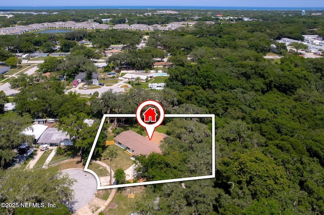 2453 Jetty Ct, Jacksonville, FL 32233 - view of property location featuring property parcel outlined and a forest