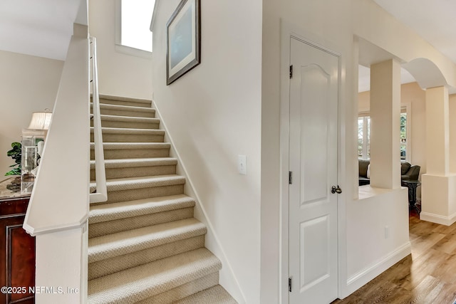 644 Sun Down Cir, Saint Augustine, FL 32080 - staircase featuring wood finished floors and healthy amount of natural light