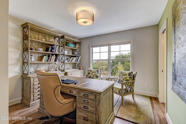 644 Sun Down Cir, Saint Augustine, FL 32080 - office space featuring light wood-style floors and a textured ceiling