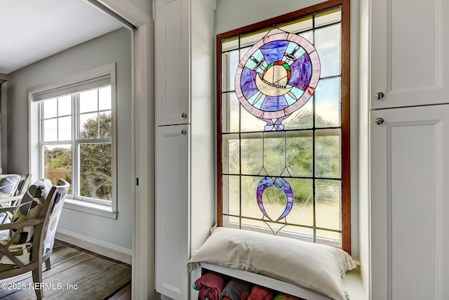 644 Sun Down Cir, Saint Augustine, FL 32080 - doorway featuring healthy amount of natural light and wood finished floors