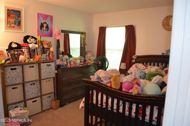 16 Coral Reef Ct N, Palm Coast, FL 32137 - photo 25