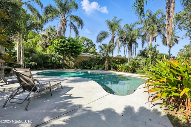 10 Sea Bass Ln, Ponte Vedra Beach, FL 32082 - photo 36