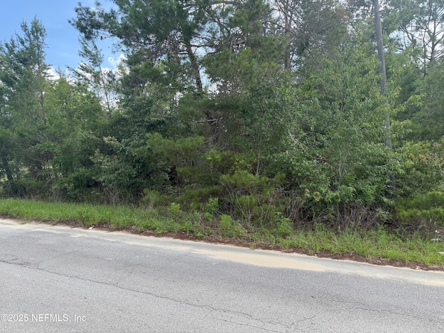 121 Istanbul St, Interlachen, FL 32148