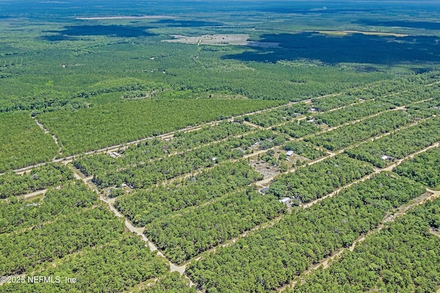 BLK21LOT24 Creager Ave, Interlachen, FL 32148