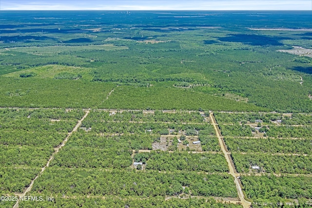 BLK21LOT24 Creager Ave, Interlachen, FL 32148