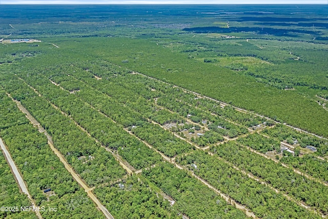 BLK21LOT24 Creager Ave, Interlachen, FL 32148