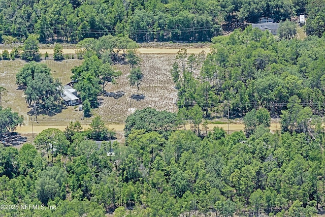 BLK21LOT24 Creager Ave, Interlachen, FL 32148