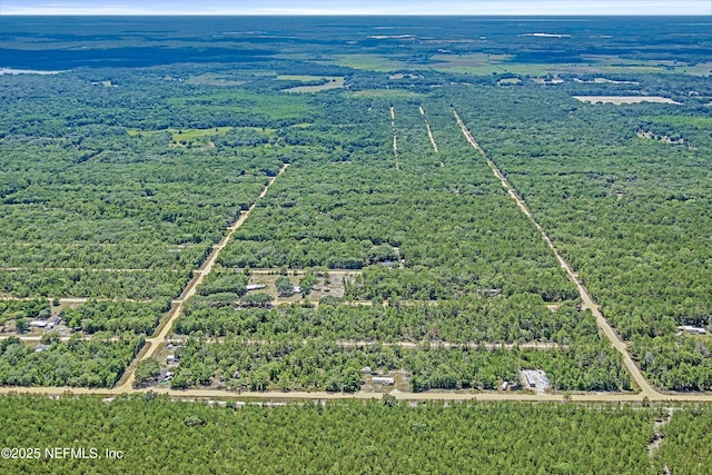 BLK21LOT24 Creager Ave, Interlachen, FL 32148