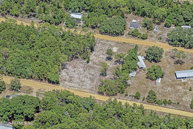 BLK21LOT24 Creager Ave, Interlachen, FL 32148