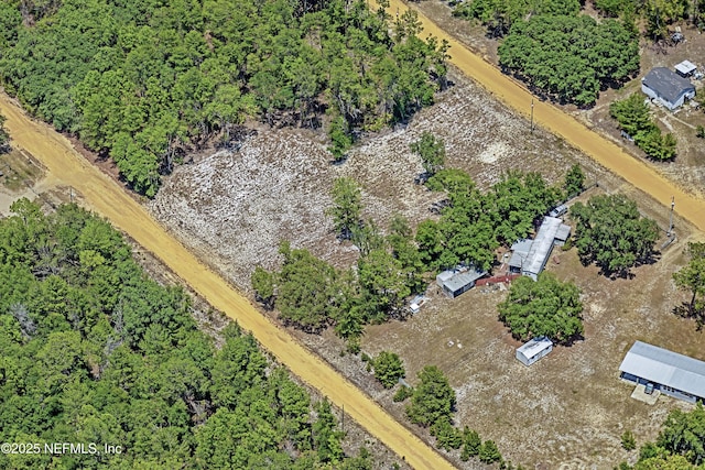 BLK21LOT24 Creager Ave, Interlachen, FL 32148