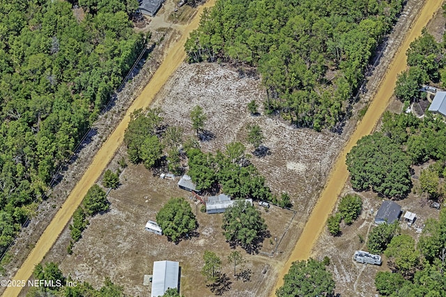 BLK21LOT24 Creager Ave, Interlachen, FL 32148