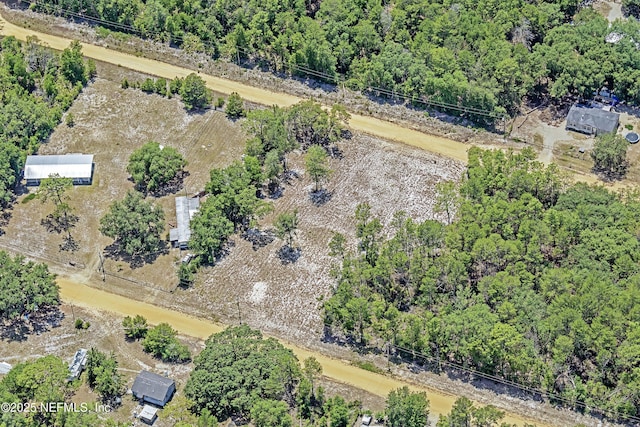 BLK21LOT24 Creager Ave, Interlachen, FL 32148
