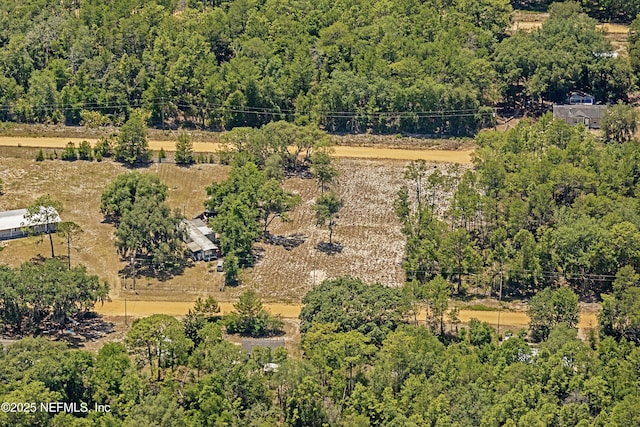 BLK21LOT25 Creager Ave, Interlachen, FL 32148 - photo 1