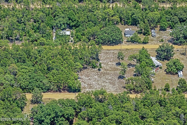 BLK21LOT25 Creager Ave, Interlachen, FL 32148 - photo 9