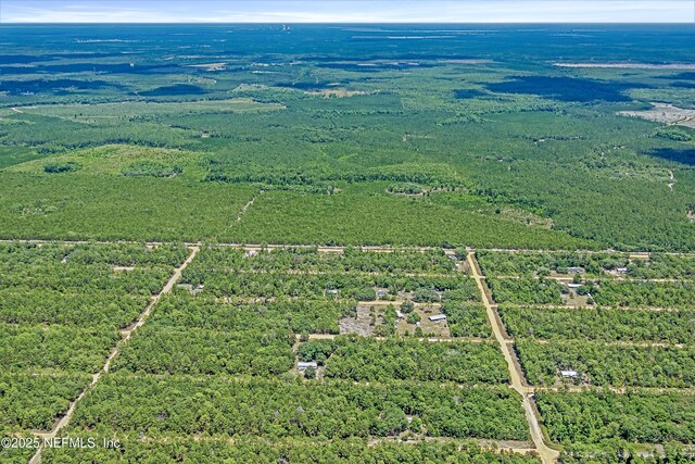 BLK21LOT25 Creager Ave, Interlachen, FL 32148 - photo 10