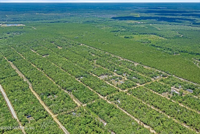 BLK21LOT25 Creager Ave, Interlachen, FL 32148 - photo 12