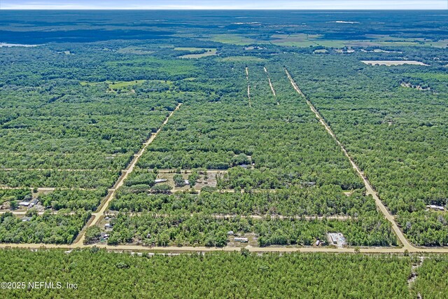 BLK21LOT25 Creager Ave, Interlachen, FL 32148 - photo 17
