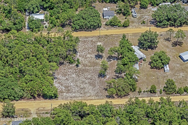 BLK21LOT25 Creager Ave, Interlachen, FL 32148 - photo 20