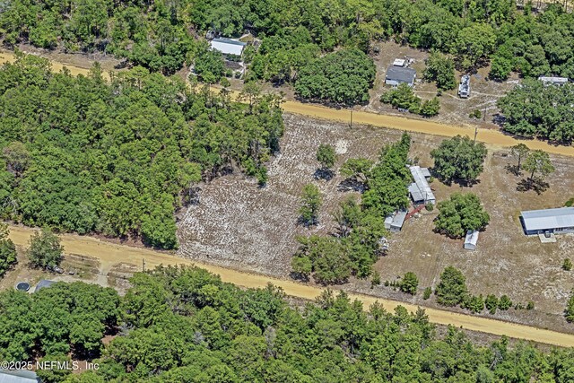 BLK21LOT25 Creager Ave, Interlachen, FL 32148 - photo 21