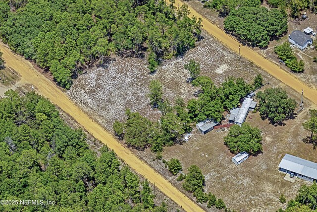 BLK21LOT25 Creager Ave, Interlachen, FL 32148 - photo 23