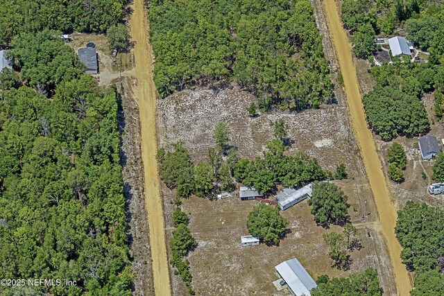 BLK21LOT25 Creager Ave, Interlachen, FL 32148 - photo 24
