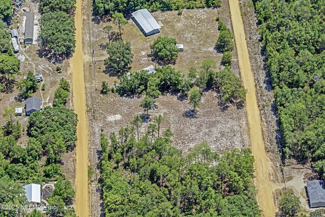 BLK21LOT25 Creager Ave, Interlachen, FL 32148 - photo 30
