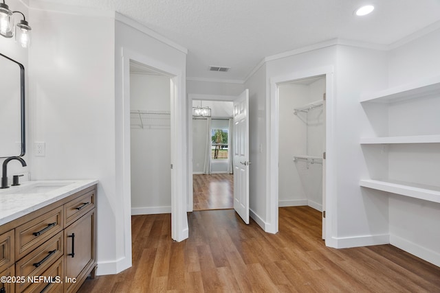 429 N Bridgestone Ave, Saint Johns, FL 32259 - bathroom featuring vanity, a walk in closet, wood finished floors, ornamental molding, and recessed lighting