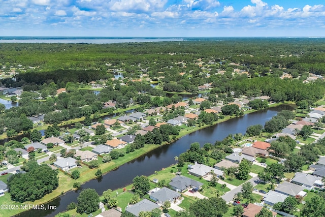 429 N Bridgestone Ave, Saint Johns, FL 32259 - aerial perspective of suburban area featuring a large body of water and a heavily wooded area