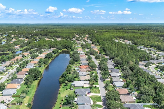 429 N Bridgestone Ave, Saint Johns, FL 32259 - aerial perspective of suburban area featuring a forest and a large body of water