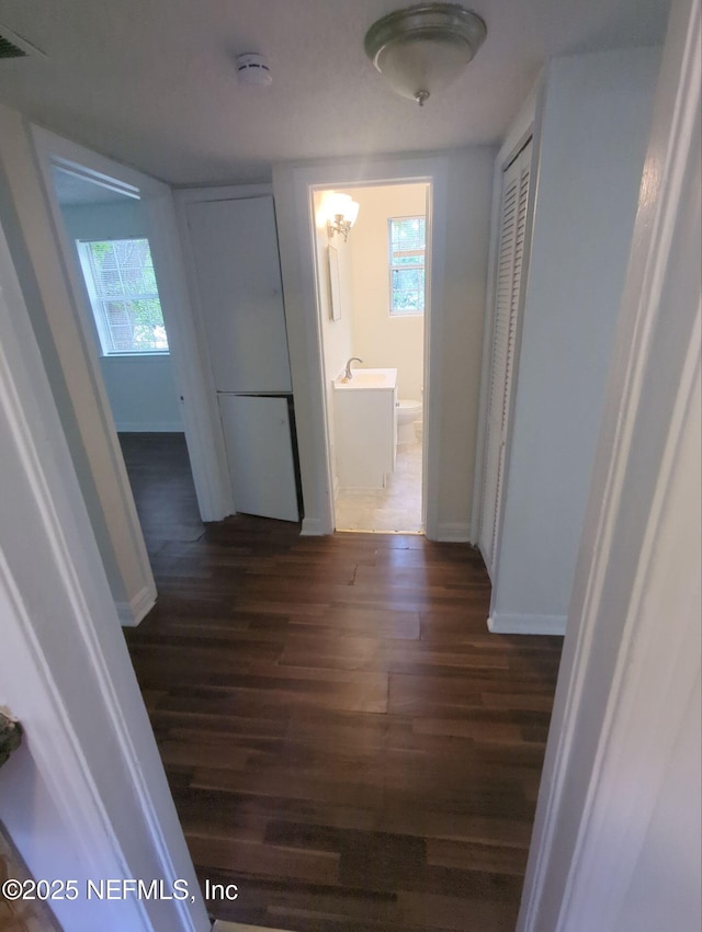 3136 Post St, Jacksonville, FL 32205 - corridor with dark wood-style floors and healthy amount of natural light