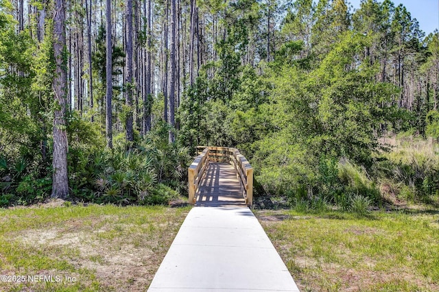 78262 Saddle Rock Rd, Yulee, FL 32097 - view of property's community with a view of trees