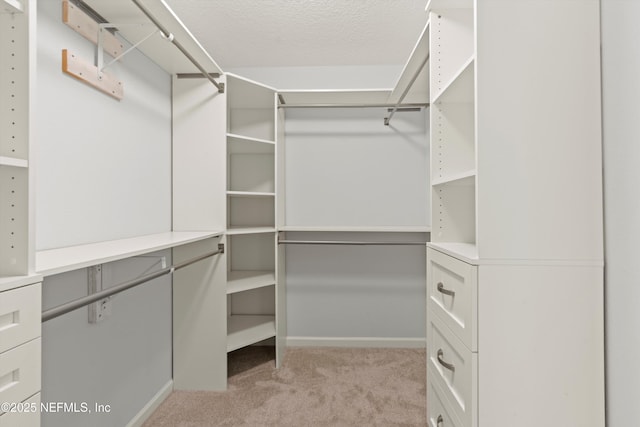82 Birchfield Ln, Saint Augustine, FL 32092 - walk in closet featuring light carpet