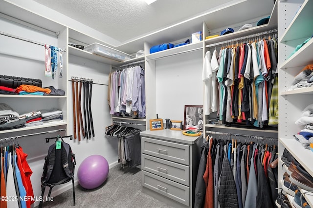 8483 Stables Rd, Jacksonville, FL 32256 - spacious closet featuring carpet