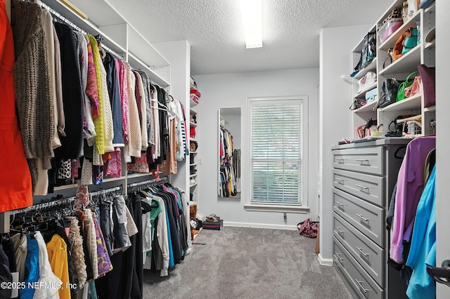 8483 Stables Rd, Jacksonville, FL 32256 - spacious closet featuring carpet floors