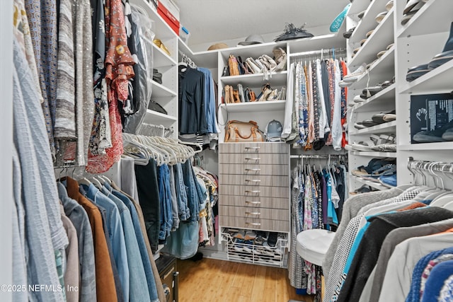 1786 Selva Marina Dr, Atlantic Beach, FL 32233 - spacious closet featuring wood finished floors
