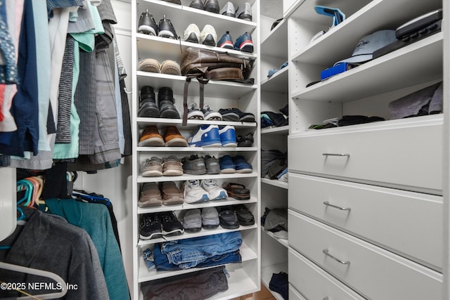1786 Selva Marina Dr, Atlantic Beach, FL 32233 - view of spacious closet