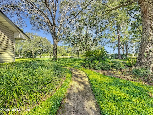 6321 Old Middleburg Rd S, Jacksonville, FL 32222 - photo 14