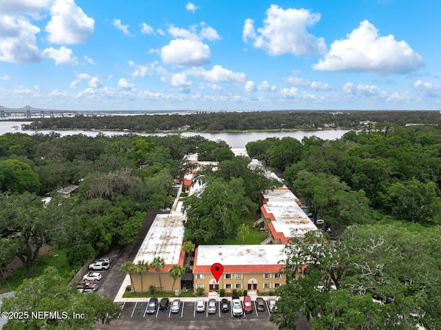 5811 Atlantic Blvd Unit 25, Jacksonville, FL 32207 - bird's eye view of a large body of water and a notable bridge
