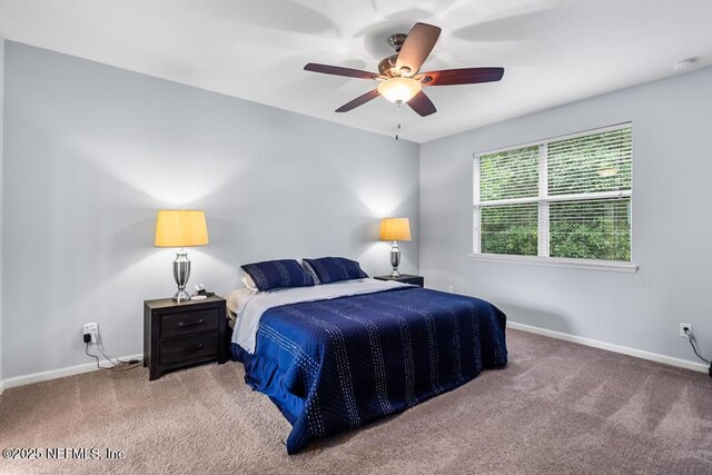 141 Woodfield Ln, Saint Johns, FL 32259 - photo 32