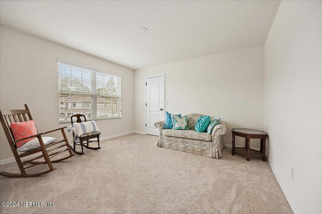 20 Sadie Ct, Saint Augustine, FL 32095 - photo 28