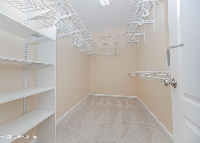 1356 Barrington Cir, Saint Augustine, FL 32092 - walk in closet featuring carpet flooring