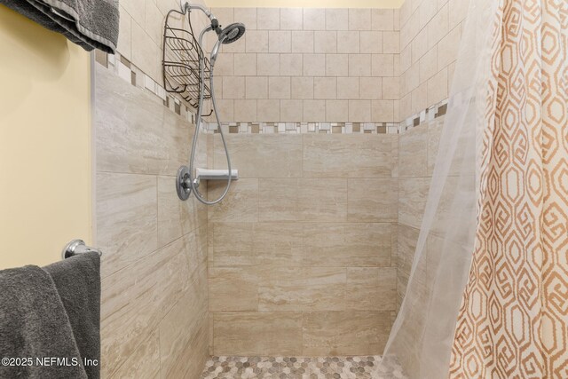 239 Riberia St, Saint Augustine, FL 32084 - photo 70