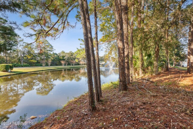 95023 Village Dr, Fernandina Beach, FL 32034 - photo 30