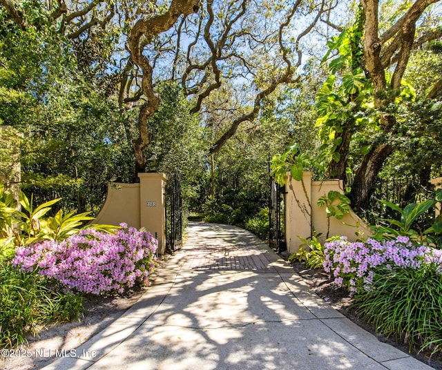 1185 Ponte Vedra Blvd, Ponte Vedra Beach, FL 32082 - view of gate