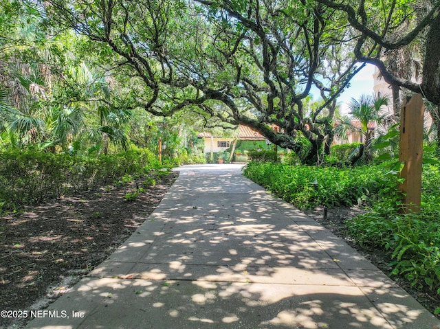 1185 Ponte Vedra Blvd, Ponte Vedra Beach, FL 32082 - view of community